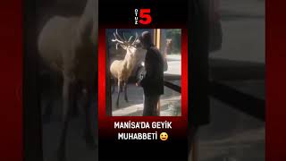 GEYİK MUHABBETİ ? MANİSA'DA BİR RESTORANIN ÖNÜ ?