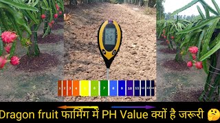 Why PH value is so important in Dragon Fruit Farming|How to maintain PH value in your soil