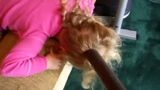 DadTV's Clip of the Day: Marcus Mastin cleans daughter's HAIR with vacuum hose!! Strange but True!