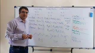 Acids and Bases 32: Aqueous Basicity of Amines