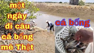 Lâu lắm mới được đi câu cá bống mê Thật