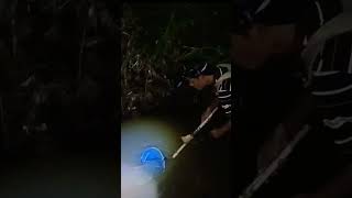 Nyetrum ikan tengah malam malah dapat emas