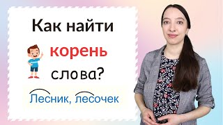 Что такое корень слова. Как найти корень слова?