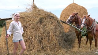 Hard hand work in village. Creating 1 ton Haystack for 3 days. Collection amazing lunches