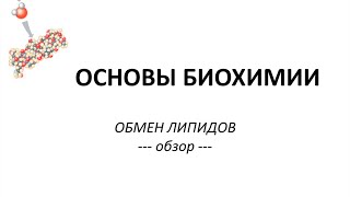 ОБМЕН ЛИПИДОВ -  часть 1 - Просто о сложном - Химия