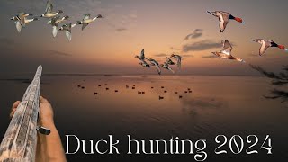 Duck Hunting in Pakistan | 2024