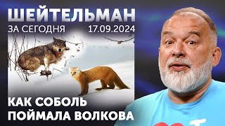 Как на роспропаганду попались Илон Маск, Тейлор-Грин, Латынина, Джей Ди Вэнс и многие из нас