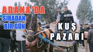 ADANA KUŞ PAZARI: NE ARARSAN VAR!