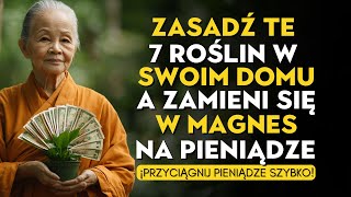 Zasadź te 7 roślin w swoim domu i PRZYCIĄGNIESZ bogactwo, dobrobyt i obfitość | Nauka Buddyjska