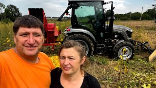 БІЗНЕС НА ГАРБУЗАХ НЕ ПОГАНО!!! Валкуємо, молотимо гарбузове насіння трактором!! Зібрали першу площу