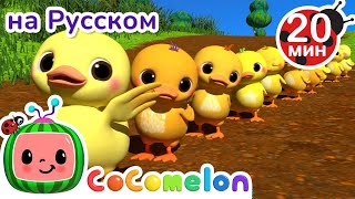 Считаем Утят🦆 | CoComelon на русском — Детские песенки