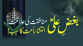 Bughz-e-Ali (A.s) Munafiqat ki Alamat | inteshaar-e-Ummat ka Sabab | Allama Habib Ahmed al-huseni