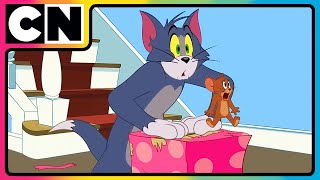 Tom & Jerry 😺🐭 | Tom’s Craziest Traps for Jerry! 😝| #compilation 🤩| #catandmouse | @cnindia