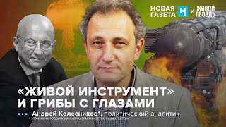 Изменение ядерной доктрины России.  Андрей Колесников*. Новая газета х Живой гвоздь / 20.09.24