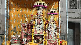 आज के विशेष दर्शन राधा माधव जी मंदिर  कनक घाटी जयपुर #vrindavandham#bhakti#radhakrishna#bhakti short