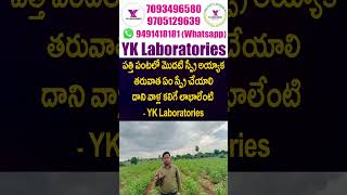 #CottonCrop #పత్తి పంటలో మొదటి స్ప్రే అయ్యాక తరువాత ఏం స్ప్రే చేయాలి దాని వాళ్ల కలిగే లాభాలేంటి