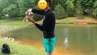 Bros Scared Of A Fish