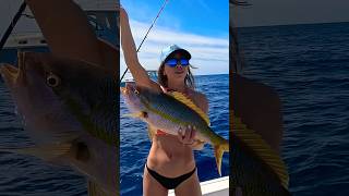 Unexpected FLAG yellowtail snapper! #offshorefishing #landedfishing #reelhapafishing #yellowtail