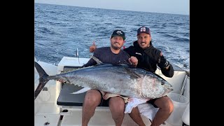 Huge Blue fin Tuna Fishing In Israel - טונה כחולה בים התיכון 87 ק"ג