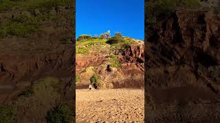 Long Reef Headland