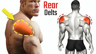 11 BEST Exercises for REAR DELTS ( Perfect Workout )