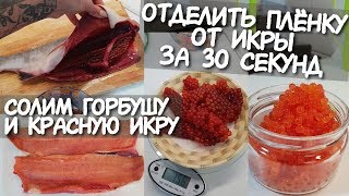 Солим КРАСНУЮ РЫБУ / Как засолить КРАСНУЮ ИКРУ / Выбираем РЫБУ С ИКРОЙ / снять пленку с икры быстро