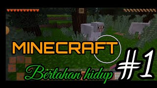 MINECRAFT BERTAHAN HIDUP | MISI MENCARI SETOK MAKANAN #1