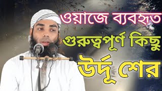 উর্দূ শের।মুফতি ফয়সাল সাদী দাঃবা।ordu ser by moftyfoysalsady