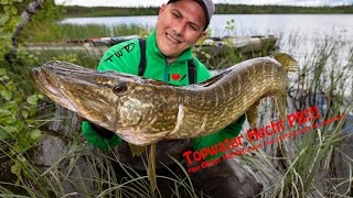 Topwater Hecht PB!!! Fängt OIivier Portrat wirklich einen 20 Pfünder nach dem anderen?