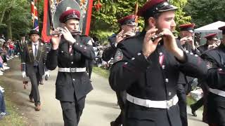 Ballyrea boyne defenders flute band @ Scarva 2024