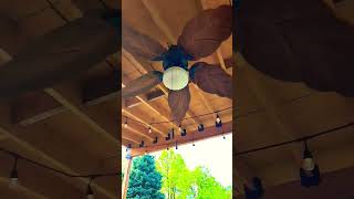 hampton bay nasussa ceiling fan #music #dance #ceilingfan #ceilingfanhouse #home