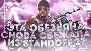 ПОЧЕМУ НЕ ВЫХОДЯТ НОВЫЕ ВИДЕО ПО STANDOFF 2?