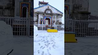 Mera Baba kedarnath🛕केदारनाथ मंदिर  #kedarnath #facts #shortvideo