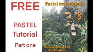 Free Pastel Masterclass - Painting the Jungle.