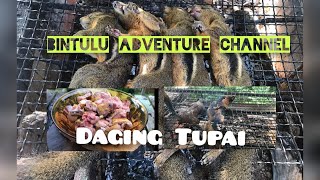 Daging Tupai // Makanan Eksotik