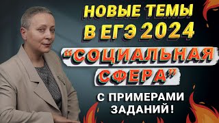 СОЦИАЛЬНАЯ СФЕРА | НОВЫЕ ТЕМЫ В ЕГЭ 2024