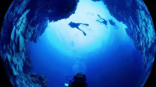 The Reefs of Belize