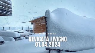 Livigno temporaneamente isolata - NEVICATA 01.04.2024 - Accumuli fino 80 cm di neve