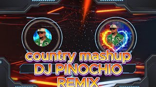 COUNRTY MUSIC -vs- HIP HOP - MORGAN WALLEN - LUKE COMBS - BEBE REXA {DJ PINOCHIO} MASHUP MEGAMIX