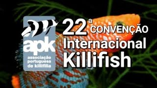 KILLIFISH o MAIOR evento em PORTUGAL