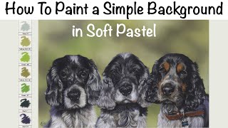 How To Paint a Simple Background in Soft Pastel - REAL TIME Tutorial!