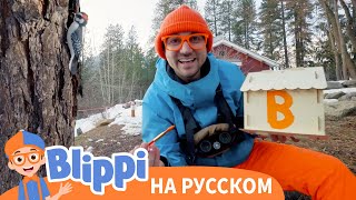 Блиппи изучает птиц - Новая Серия✨ | Обучающие видео для детей | Blippi Russian