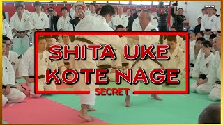 Secret techniques Shita Uke Kote Nage Shorinji Kempo (juho). Demonstrations sensei Arai. 武道少林寺拳法