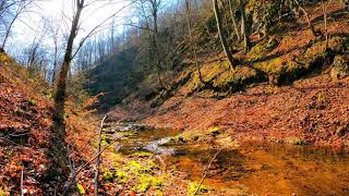 Nature sounds to reduce stress | water lapping, child of nature, tinnitus, asmr.