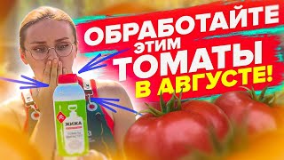 ЧТО ДЕЛАТЬ С ТОМАТАМИ В АВГУСТЕ?