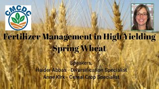 Nitrogen Management in High Yielding Spring Wheat