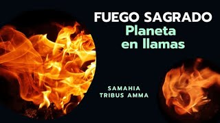 🔥El Fuego como elemento y el Fuego Sagrado 🔥Planeta en Llamas🌎