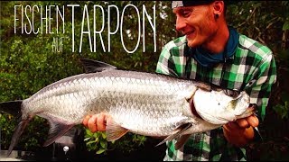 TARPON  FISHING || Kurzclip: Angeln auf Tarpon || Topwater