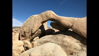 Joshua Tree National Park