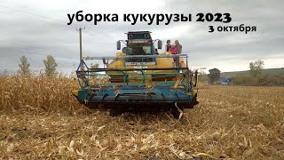 уборка кукурузы 2023 ск 6 колос